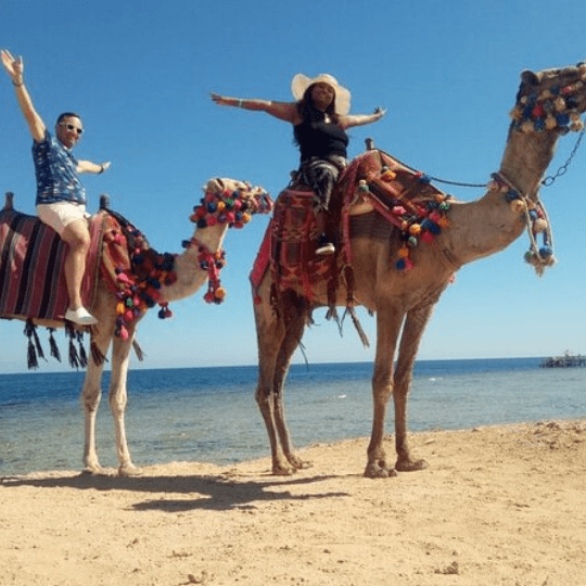 Camel riding 2 hours