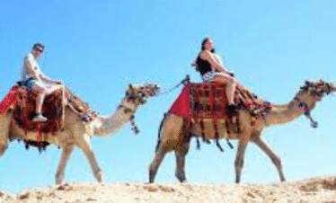 Camel riding tour