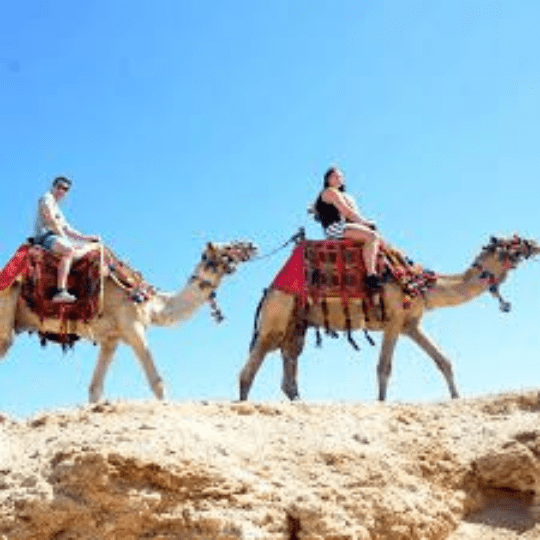 Camel riding tour