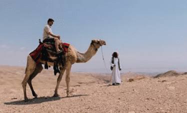 Camel riding trip