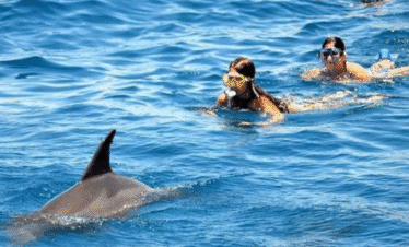 Hurghada Dolphin House