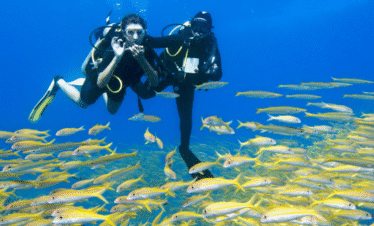 Scuba Diving