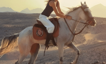 Horse riding 3 hours