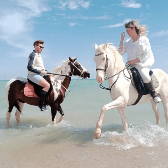 Horse riding 3 hours