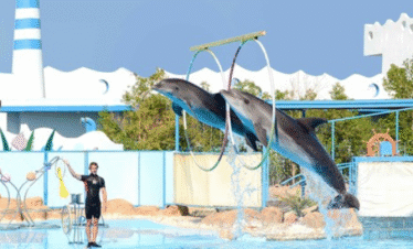 hurghada Dolphin World