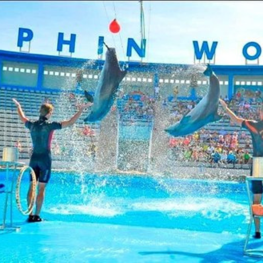 hurghada trip Dolphin World