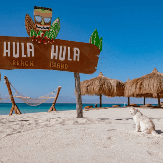 hurghada trip Hula Hula island