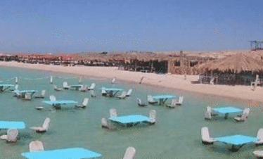 orange island
