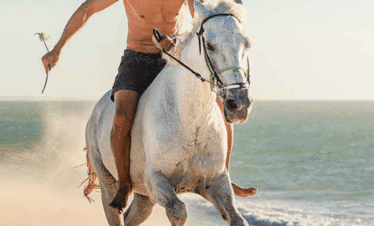 trip Horse riding 3 hours