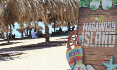 trip Magawish island