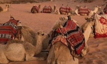 trip Super Safari hurghada