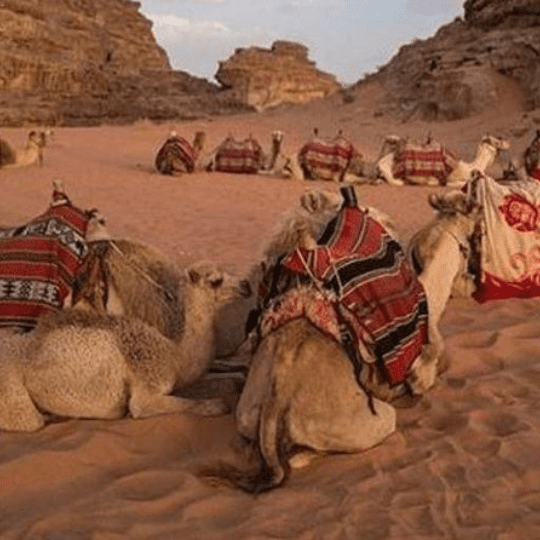 trip Super Safari hurghada