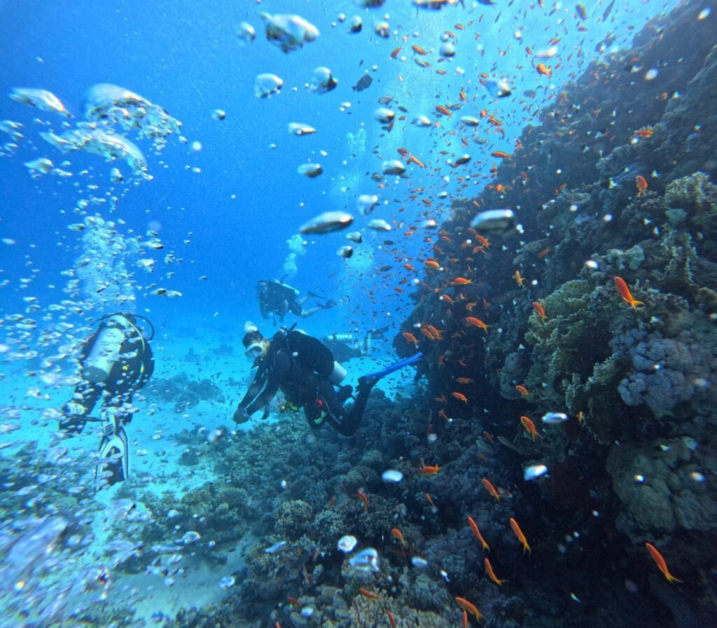 Best diving adventure