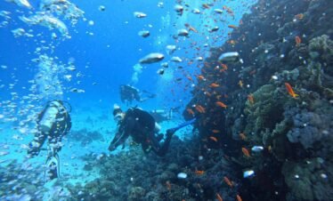 Best diving adventure