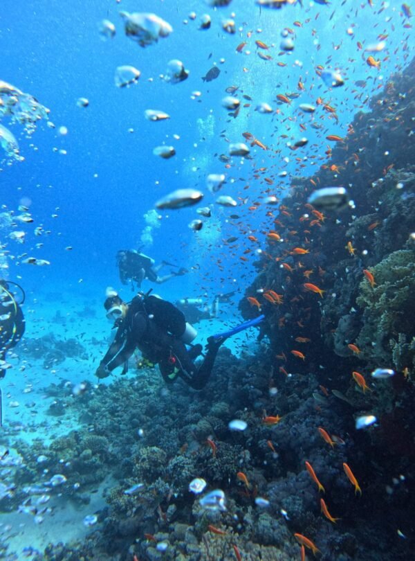 Best diving adventure