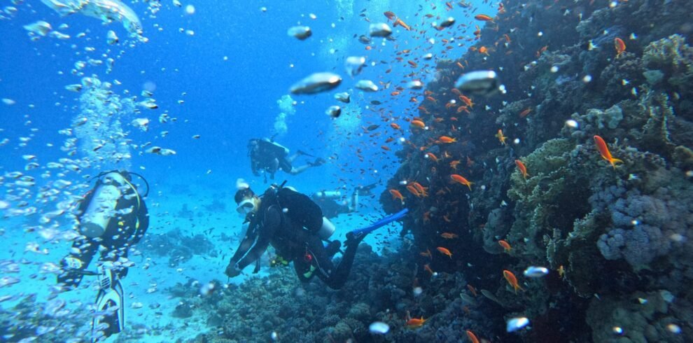 Best diving adventure